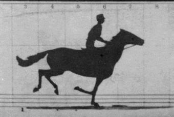 Animated sequence of Eadweard Muybridge's The Horse in Motion (1878)